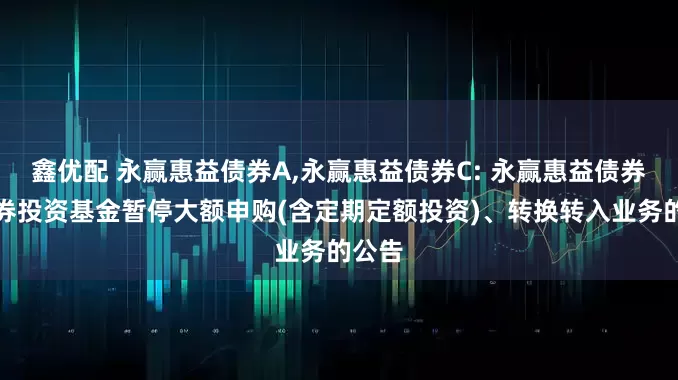 鑫优配 永赢惠益债券A,永赢惠益债券C: 永赢惠益债券型证券投资基金暂停大额申购(含定期定额投资)、转换转入业务的公告