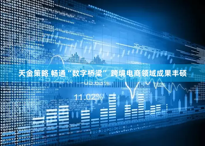 天金策略 畅通“数字桥梁” 跨境电商领域成果丰硕