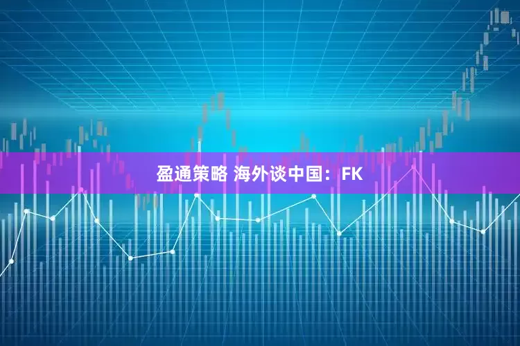 盈通策略 海外谈中国：FK